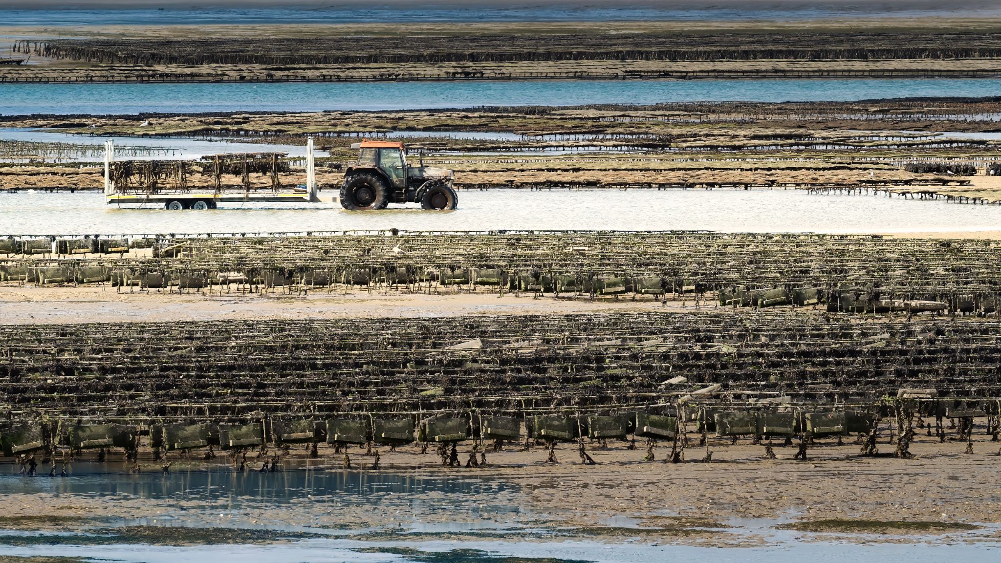 20250923 133742 Carnac   Boulevard de l'Océan, Saint Colomban